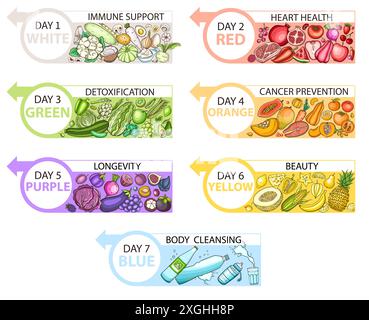 Infografiche dieta a colori sana. Un programma alimentare giornaliero. Diagramma di cibo sano per la salute e la bellezza. Foto Stock