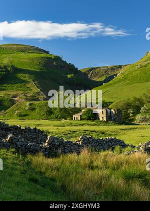 Pittoresca Swaledale (rovina della casa, valle affluente, muro di pietra a secco sbriciolato, pascoli agricoli, cielo blu) - nr Muker, Yorkshire Dales, Inghilterra, Regno Unito. Foto Stock