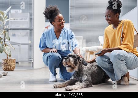 Sparo di una donna sorridente afroamericana proprietaria di cani e medico veterinario che accovacciano e accarezzano lo schnauzer sale e pepe steso sul pavimento prima del check-up di routine in clinica Foto Stock