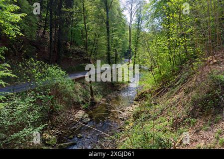 Europa, Lussemburgo, Grevenmacher, Mullerthal, fiume Ernz vicino alla cascata di Schiessentumpel Foto Stock