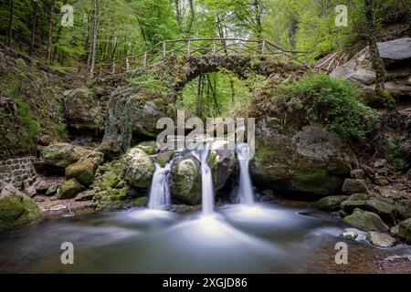 Europa, Lussemburgo, Grevenmacher, Mullerthal Trail, cascata Schiessentumpel Foto Stock