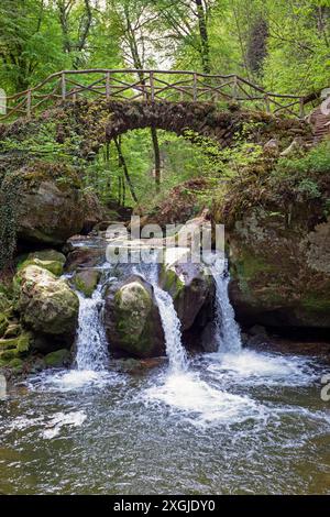 Europa, Lussemburgo, Grevenmacher, Mullerthal Trail, cascata Schiessentumpel Foto Stock