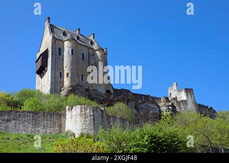 Europa, Lussemburgo, Larochette, Castello di Larochette Foto Stock