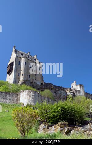 Europa, Lussemburgo, Larochette, Castello di Larochette Foto Stock