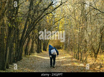 Un uomo anziano con una borsa bianca sulla schiena cammina lungo il vicolo della foresta autunnale Foto Stock