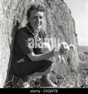 anni '1950, storiche pulcini di aquila dorata Foto Stock