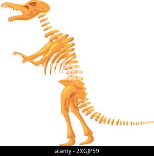 Scheletro del Tyrannosaurus rex in piedi su due zampe mostrandone i denti Illustrazione Vettoriale