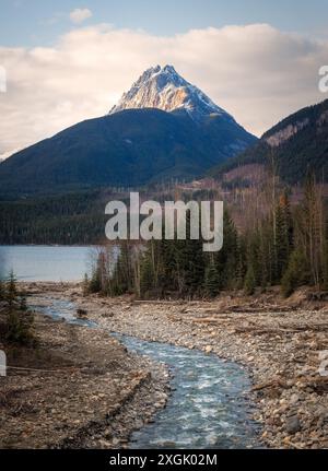 Il tortuoso fiume si sta dirigendo da una cima innevata attraverso una foresta Foto Stock