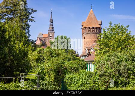 La città vecchia di Tangermünde, Sassonia-Anhalt, Germania. Chiesa di Santo Stefano e torre della fortezza dietro gli alberi. Foto Stock