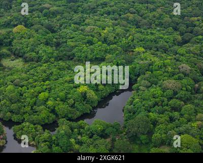 Giungla tropicale verde con vista aerea del laghetto con droni Foto Stock