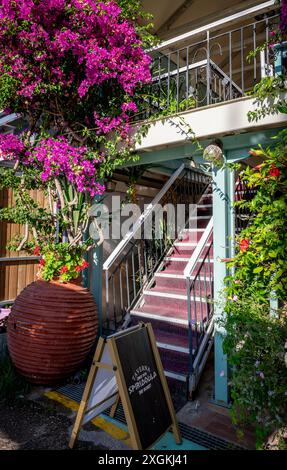 Sivota, Lefkada, Grecia- 07.03.2024. Una taverna sul lungomare con bellissime piante in vaso e fiori. Foto Stock