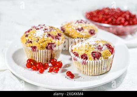 Muffin con ribes rosso e zucchero a velo su un piatto bianco, dessert estivo fruttato, pasticceria fatta in casa, focalizzazione selezionata, profondità ridotta dell'estate sul campo Foto Stock