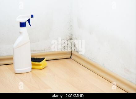 Spruzzare il flacone e la spugna vicino alla parete nera dello stampo. Concetto di pulizia della casa Foto Stock