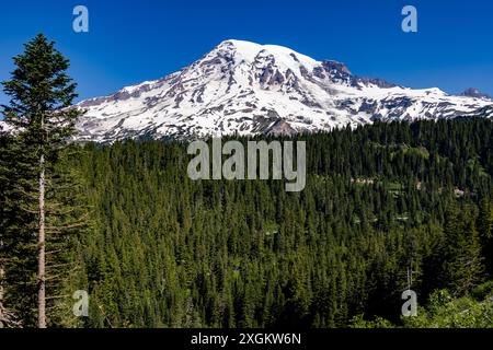Mount Rainier dal punto panoramico vicino a Paradise Inn, Mount Rainier National Park, Washington State, USA Foto Stock