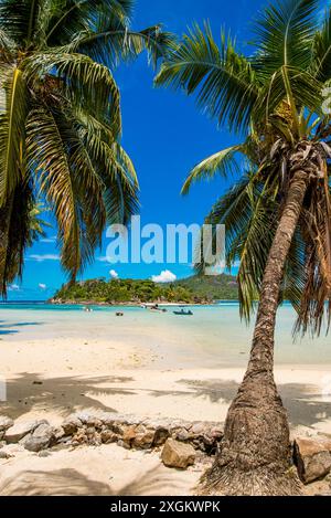 Anse L'Islette Beach, Mahe, Repubblica delle Seicelle, Oceano Indiano. Foto Stock