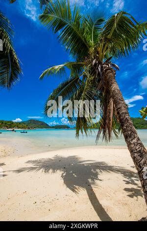 Anse L'Islette Beach, Mahe, Repubblica delle Seicelle, Oceano Indiano. Foto Stock