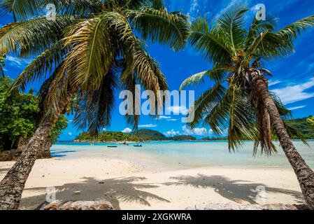 Anse L'Islette Beach, Mahe, Repubblica delle Seicelle, Oceano Indiano. Foto Stock