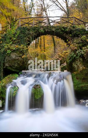 Lo stagno di tiro a segno in Lussemburgo, la cascata, Mullerthal, Lussemburgo Foto Stock