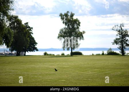 Schwerin, Germania. 10 luglio 2024. Vista del lago Schwerin nella capitale dello stato Schwerin. Il servizio meteorologico tedesco ha annunciato nuovi temporali. Crediti: Frank Hormann/dpa/Alamy Live News Foto Stock