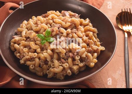 Pasta con carne stufata, pasta al marina, corna, fatti in casa, niente persone Foto Stock