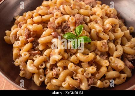 Pasta con carne stufata, pasta al marina, corna, fatti in casa, niente persone Foto Stock