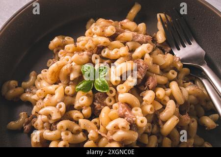 Pasta con carne stufata, pasta al marina, corna, fatti in casa, niente persone Foto Stock