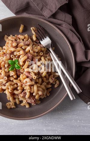 Pasta con carne stufata, pasta al marina, corna, fatti in casa, niente persone Foto Stock