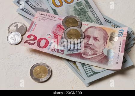 Lari, 20 GEL, valuta monetaria georgiana, con dollari, banconote, vista dall'alto, niente persone, sul tavolo Foto Stock