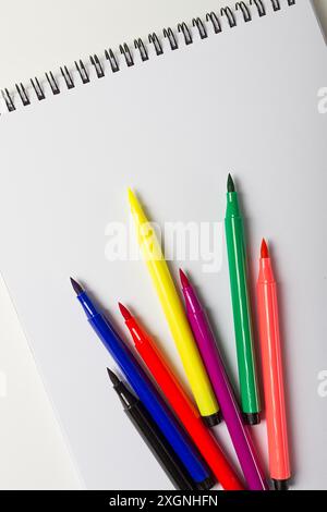 Penne acquerelli, assortimento, su un album di disegno, scrivania dell'artista, vista dall'alto, primo piano, messa a fuoco selettiva Foto Stock