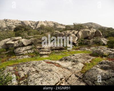 Vegetazione mediterranea tra rocce granitiche, nei pressi di Arzachena, Sardegna, Italia Foto Stock