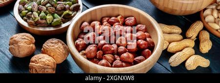 Panorama varietà NUTS. Nocciole e pistacchi, noci e arachidi su sfondo scuro Foto Stock