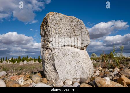 Stele funerarie di Vacceos, necropoli di Foto Stock