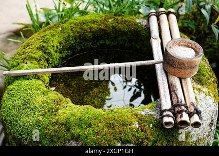 Tsukubai ricoperto di muschio nel giardino tradizionale giapponese, uno degli elementi più iconici del giardino tradizionale giapponese Foto Stock