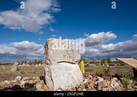 Stele funerarie di Vacceos, necropoli di Foto Stock