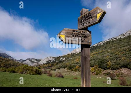 Valle di Tosande. Parco naturale Fuentes Carrionas, Fuente Cobre - montagna Palentina. Palencia, Spagna Foto Stock