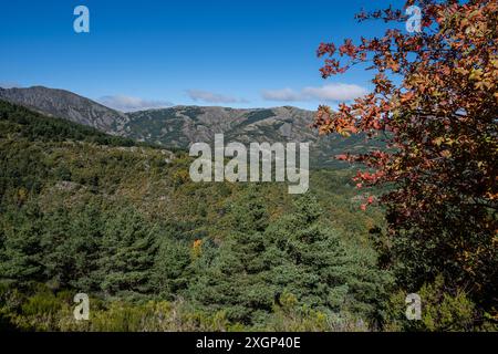 Parco Naturale Sierra Norte de Guadalajara, Cantalojas, Guadalajara, Spagna Foto Stock