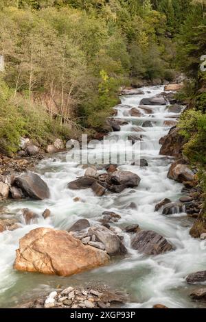 Sul fiume Passiere nel muschio di Passiria, alto Adige Foto Stock