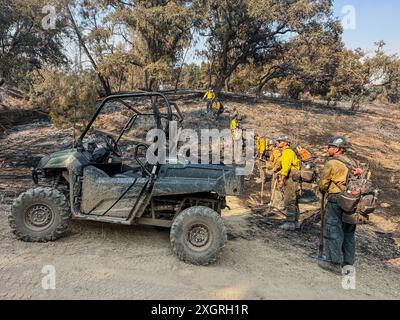 Santa Ynez, California, Stati Uniti. 8 luglio 2024. Servizio antincendio forestale vigili del fuoco alla ricerca di braci vagabondi dall'incendio del lago. Si stanno "pulendo" vicino al Neverland Ranch e alla scuola Midland in Figueroa Mountain Rd a Santa Ynez, California, l'8 luglio 2024 (Credit Image: © Amy Katz/ZUMA Press Wire) SOLO PER USO EDITORIALE! Non per USO commerciale! Foto Stock