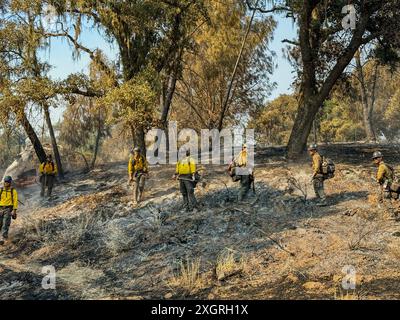 Santa Ynez, California, Stati Uniti. 8 luglio 2024. Servizio antincendio forestale vigili del fuoco alla ricerca di braci vagabondi dall'incendio del lago. Si stanno "pulendo" vicino al Neverland Ranch e alla scuola Midland in Figueroa Mountain Rd a Santa Ynez, California, l'8 luglio 2024 (Credit Image: © Amy Katz/ZUMA Press Wire) SOLO PER USO EDITORIALE! Non per USO commerciale! Foto Stock