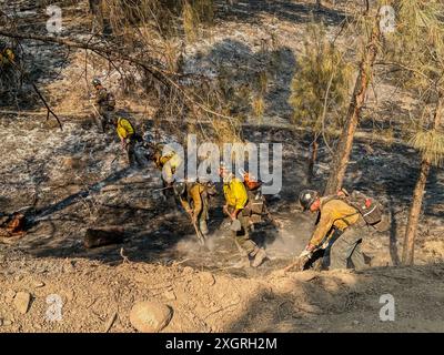 Santa Ynez, California, Stati Uniti. 8 luglio 2024. Servizio antincendio forestale vigili del fuoco alla ricerca di braci vagabondi dall'incendio del lago. Si stanno "pulendo" vicino al Neverland Ranch e alla scuola Midland in Figueroa Mountain Rd a Santa Ynez, California, l'8 luglio 2024 (Credit Image: © Amy Katz/ZUMA Press Wire) SOLO PER USO EDITORIALE! Non per USO commerciale! Foto Stock