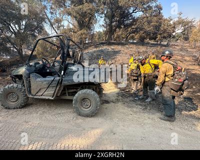 Santa Ynez, California, Stati Uniti. 8 luglio 2024. Servizio antincendio forestale vigili del fuoco alla ricerca di braci vagabondi dall'incendio del lago. Si stanno "pulendo" vicino al Neverland Ranch e alla scuola Midland in Figueroa Mountain Rd a Santa Ynez, California, l'8 luglio 2024 (Credit Image: © Amy Katz/ZUMA Press Wire) SOLO PER USO EDITORIALE! Non per USO commerciale! Foto Stock