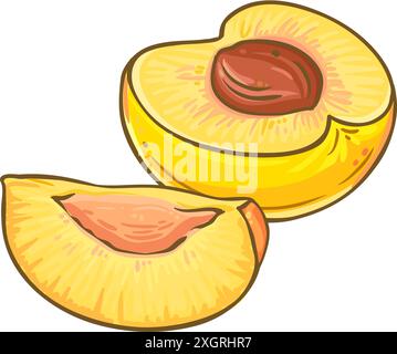 Illustrazione dettagliata colorata di frutta di pesca. Illustrazione Vettoriale
