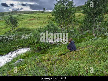 Un ragazzo accovacciato nell'erica e nei cespugli di mirtillo su una collina guarda il ruscello di montagna. Lussureggianti alberi di betulla, vegetazione e montagne lo circondano Foto Stock