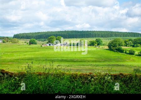 Vista sulla campagna della cumbria dal Vallo di adriano, vicino a brampton, cumbria Foto Stock
