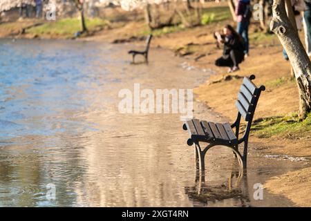 Banco subacqueo in sentieri allagati intorno al bacino delle maree a Washington DC Foto Stock