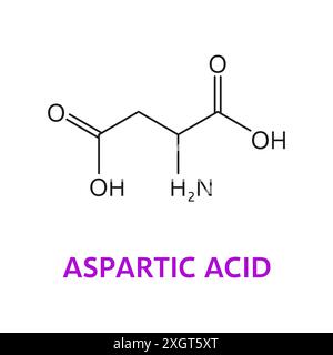 Molecole chimiche di amminoacidi aspartici, struttura essenziale della catena, caratterizza il gruppo acido carbossilico e il gruppo amminico sul suo carbonio a, formando una catena laterale carica negativamente. La formula molecolare è c4h7no4 Illustrazione Vettoriale