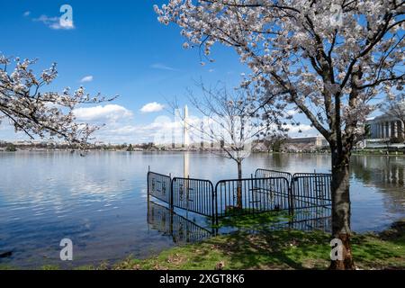 Bacino di marea in acqua allagata. Un nuovo muro di mare sarà costruito per riparare l'area di Washington DC Foto Stock