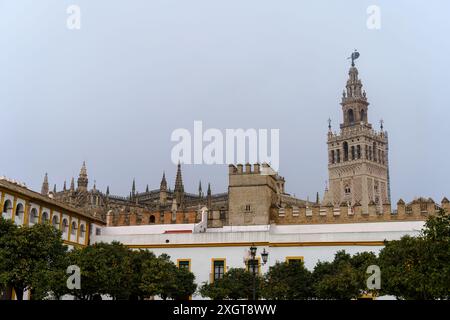 Cattedrale di Siviglia vista da Patio de Banderas plaza Foto Stock