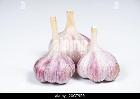Tre bulbi d'aglio freschi non sbucciati su sfondo bianco isolato. Foto Stock