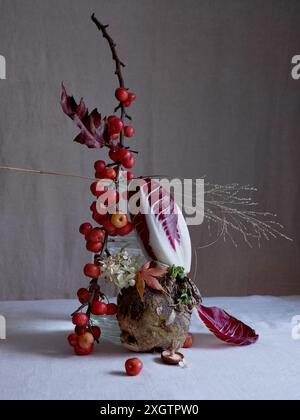 Una disposizione artistica con minuscole mele di granchio rosso sui rami, sostenute da un sudore, funghi, foglie di radicchio e delicati fiori bianchi, incastonano un Foto Stock